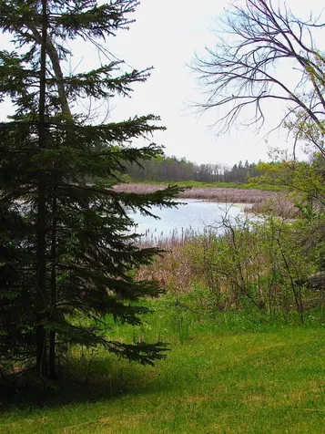 26301 Us 71 Park Rapids MN 56470