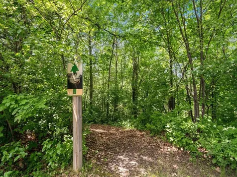 4777 Highway 371 Hackensack MN 56452