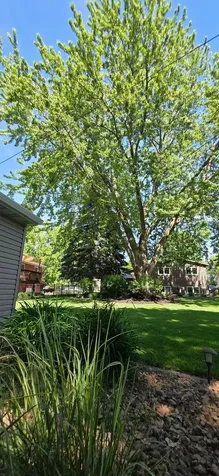 1609 Garfield Avenue Albert Lea MN 56007