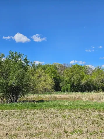 3698 135th Street Plato MN 55370