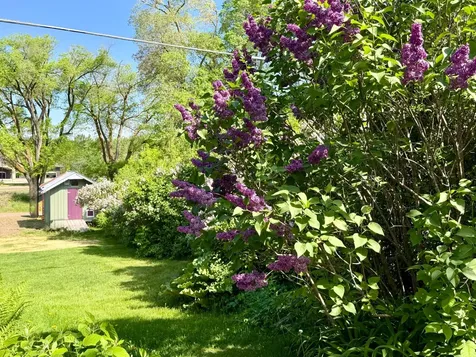 156 Lakeshore Drive Moose Lake MN 55767