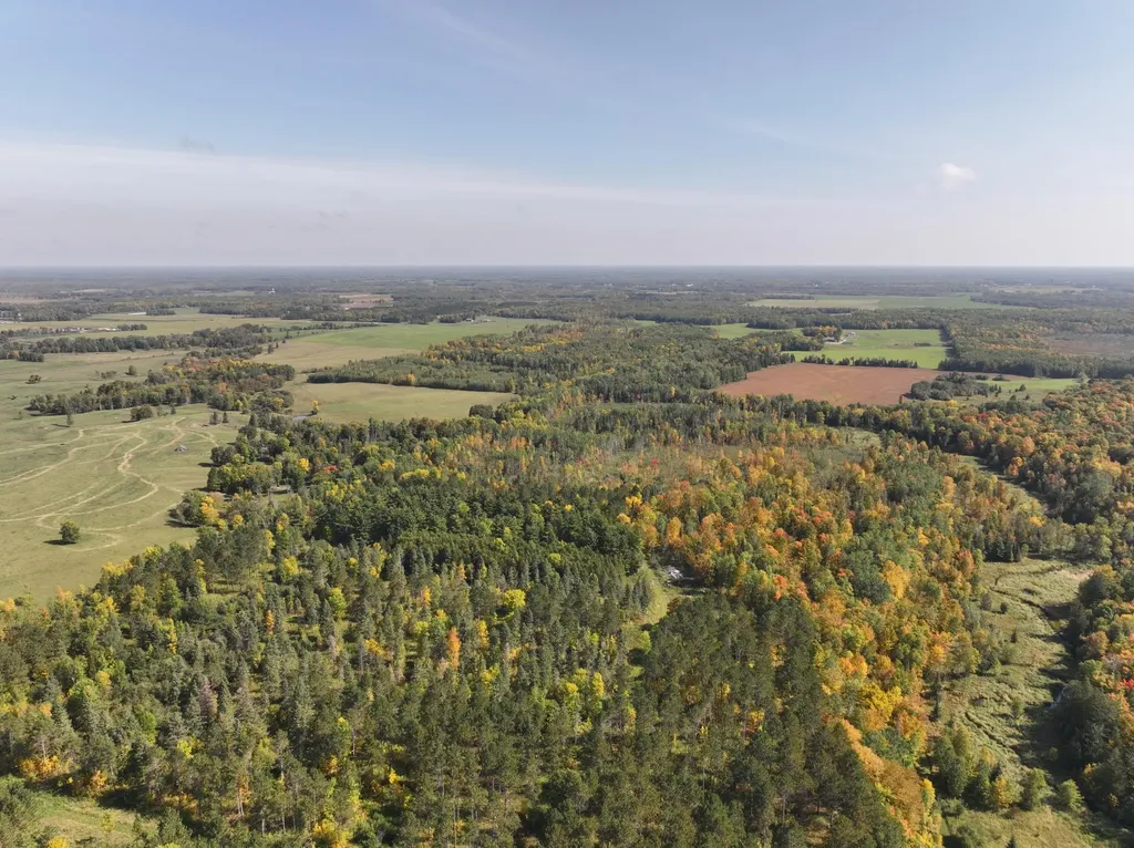 Lot D 67ac N Blackduck Lake Road Hines MN 56647
