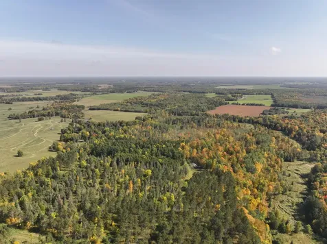 Lot D 67ac N Blackduck Lake Road Hines MN 56647