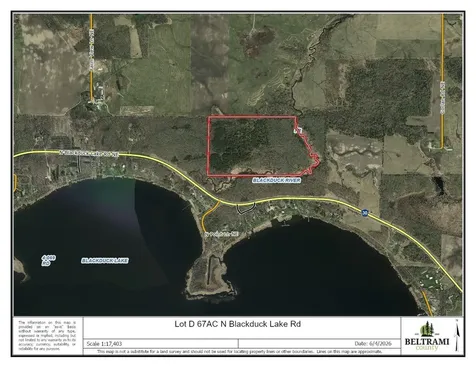 Lot D 67ac N Blackduck Lake Road Hines MN 56647