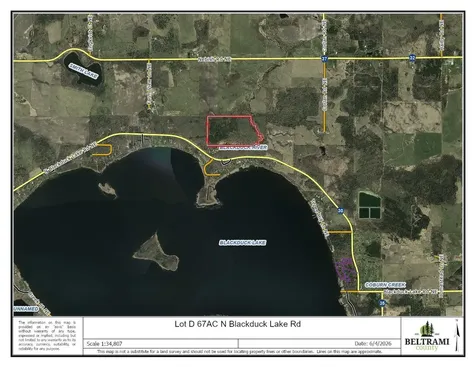 Lot D 67ac N Blackduck Lake Road Hines MN 56647