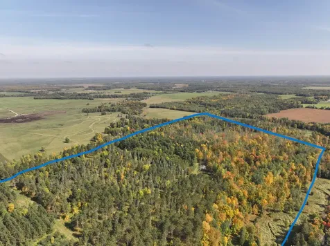 Lot D 67ac N Blackduck Lake Road Hines MN 56647