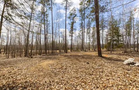 28502 County 37 Laporte MN 56461