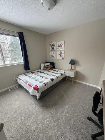 13037 Durum Court Eden Prairie MN 55347