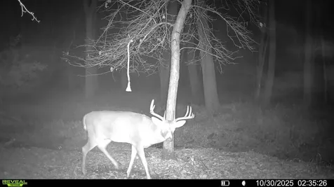 Tbd 20th Street SE Clear Lake MN 55319