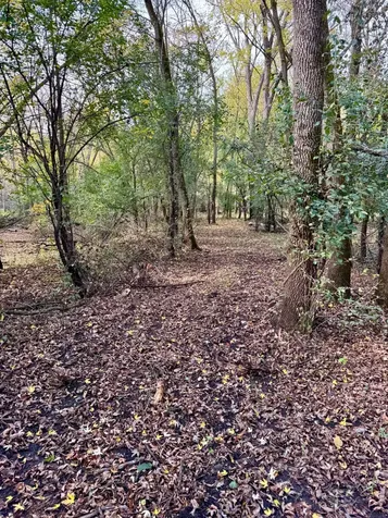 Tbd 20th Street SE Clear Lake MN 55319