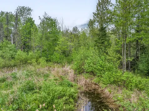 1152 Fernberg Road Ely MN 55731