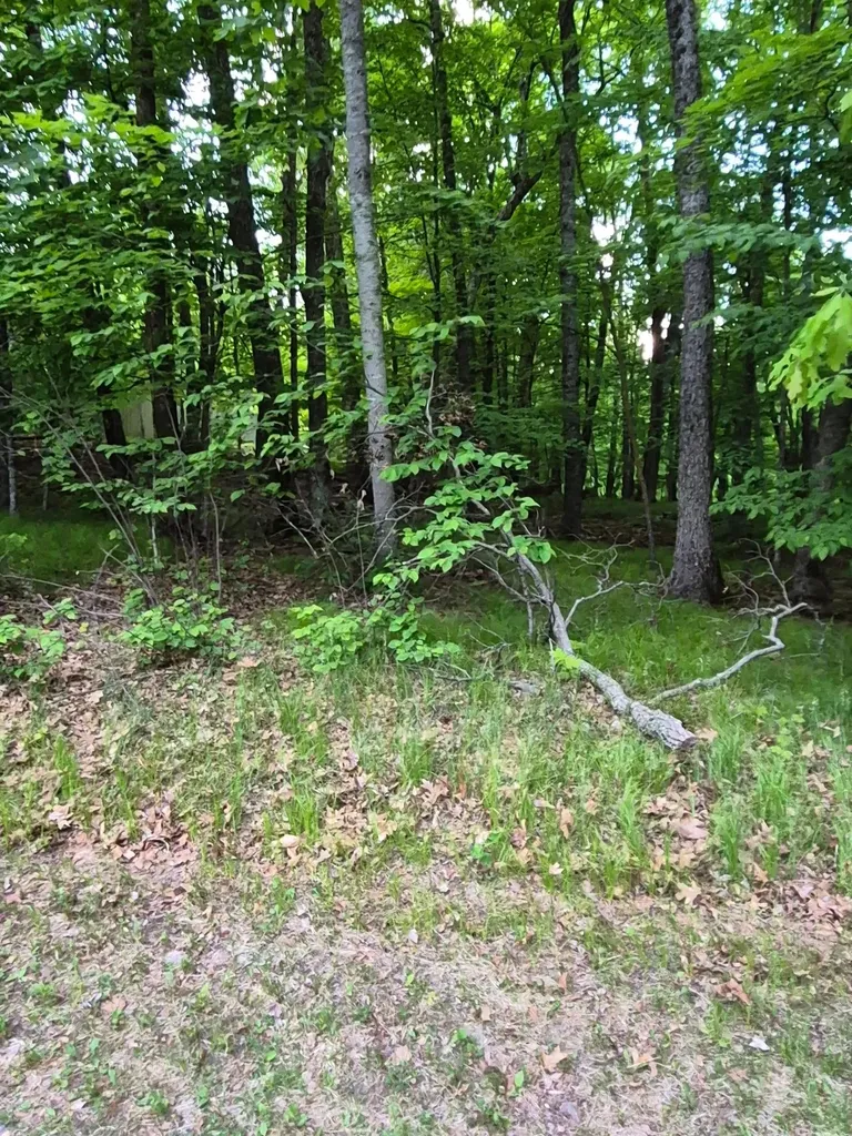 Tbd Lot 353 195th Place Mcgregor MN 55760
