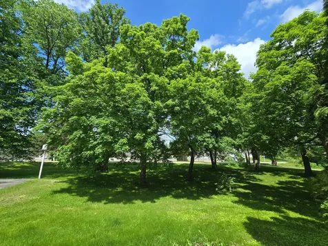 321 E Scharf Avenue Vergas MN 56587