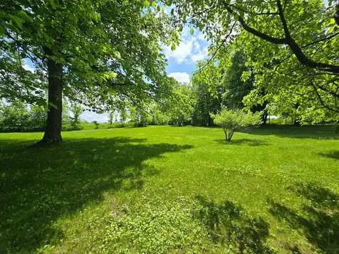 321 E Scharf Avenue Vergas MN 56587