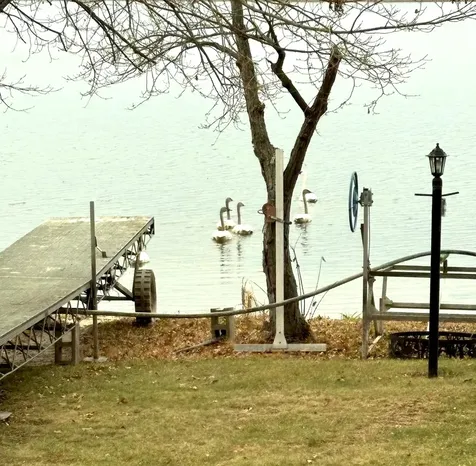 29367 Kraemer Lake Road Saint Joseph MN 56374