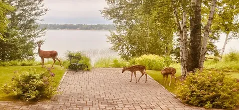 37468 N Courage Drive Lake George MN 56458