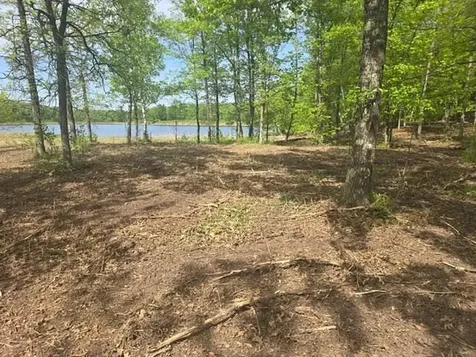 Lot 5 County Road 30 Crosby MN 56441