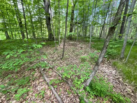 25945 Pine View Beach Trail Brook Park MN 55007