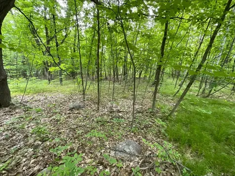 25945 Pine View Beach Trail Brook Park MN 55007