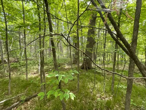 25945 Pine View Beach Trail Brook Park MN 55007