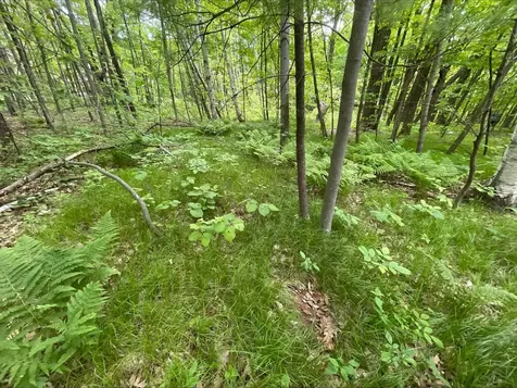 25945 Pine View Beach Trail Brook Park MN 55007