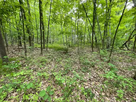 25945 Pine View Beach Trail Brook Park MN 55007