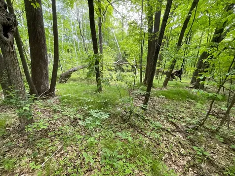 25945 Pine View Beach Trail Brook Park MN 55007