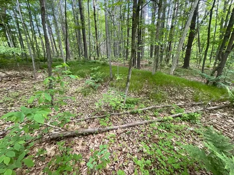 25945 Pine View Beach Trail Brook Park MN 55007