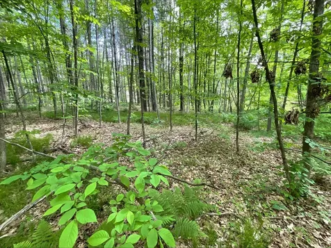 25945 Pine View Beach Trail Brook Park MN 55007