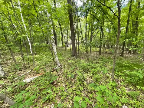 25945 Pine View Beach Trail Brook Park MN 55007