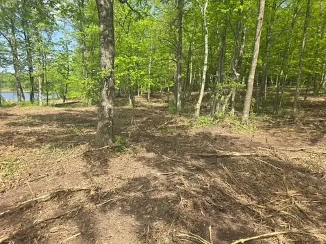 Lot 3 County Road 30 Crosby MN 56441