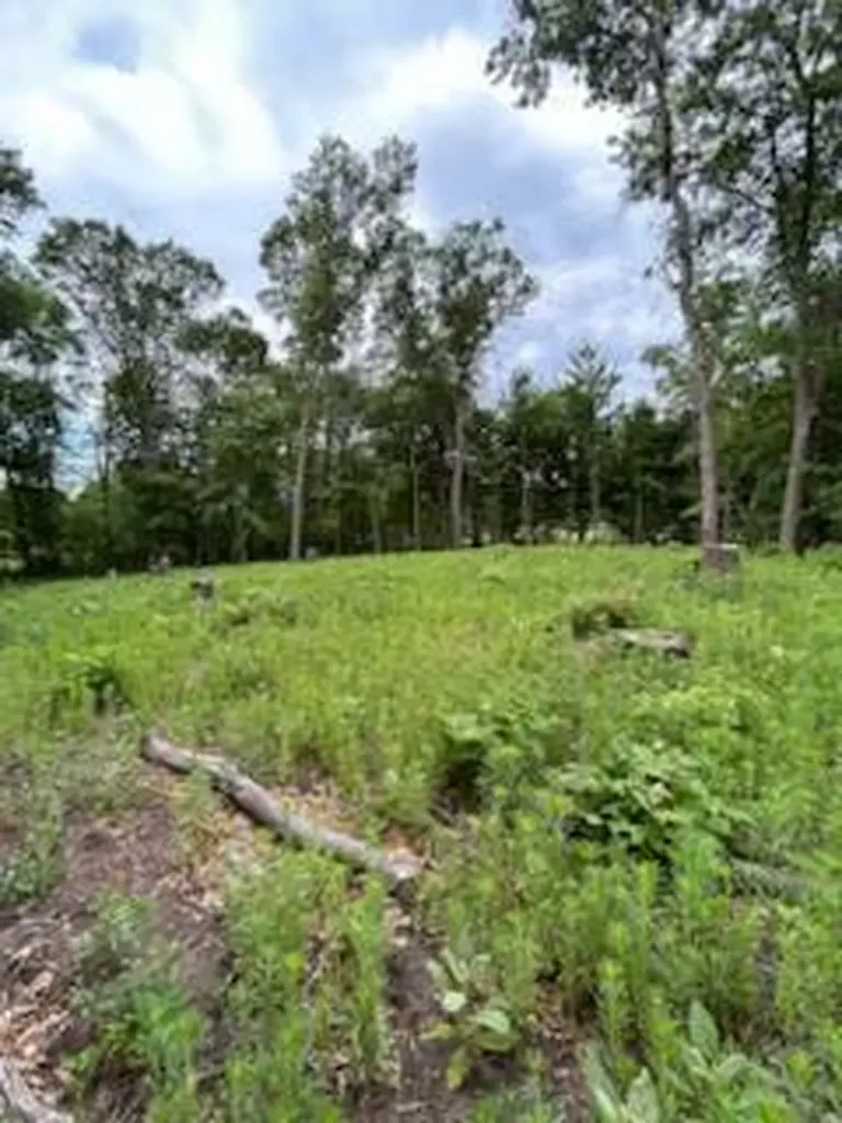 4188 161st Lane NE Ham Lake MN 55304