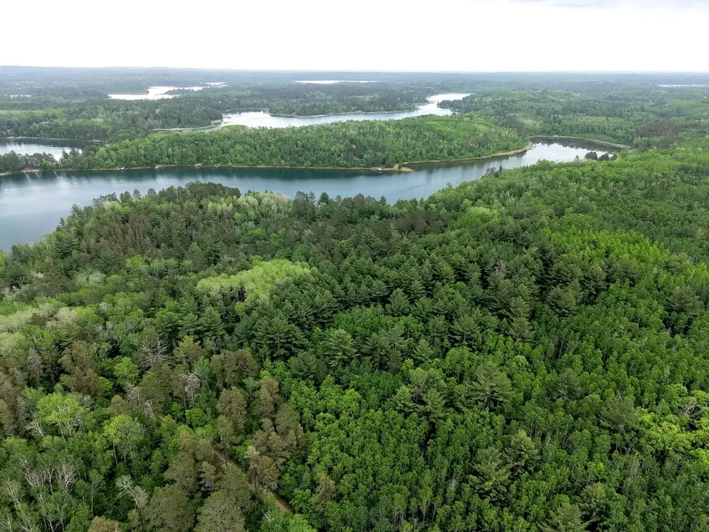 Tbd 290th Street Park Rapids MN 56470