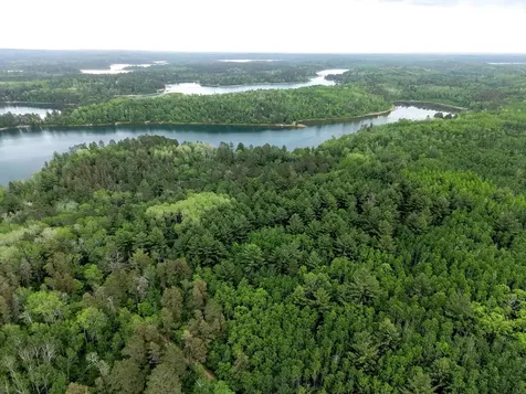 Tbd 290th Street Park Rapids MN 56470