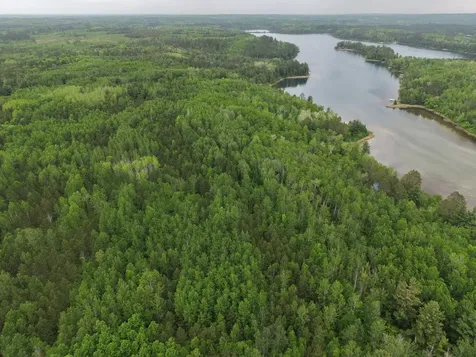 Tbd 290th Street Park Rapids MN 56470