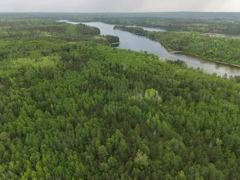 Tbd 290th Street Park Rapids MN 56470