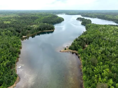 Tbd 290th Street Park Rapids MN 56470