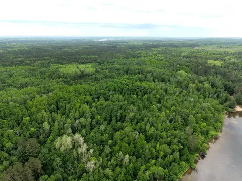 Tbd 290th Street Park Rapids MN 56470