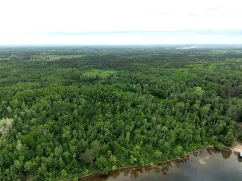 Tbd 290th Street Park Rapids MN 56470