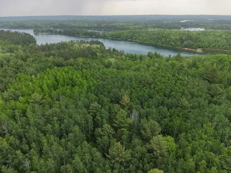 Tbd 290th Street Park Rapids MN 56470