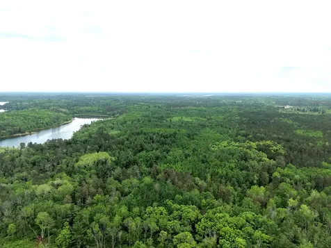 Tbd 290th Street Park Rapids MN 56470