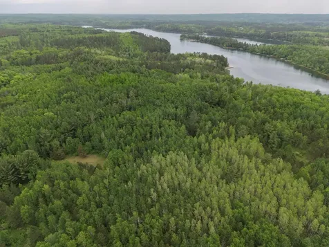 Tbd 290th Street Park Rapids MN 56470