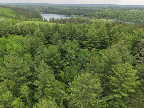 Tbd 290th Street Park Rapids MN 56470