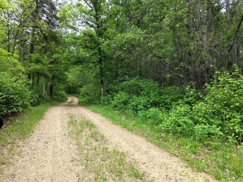 Tbd 290th Street Park Rapids MN 56470