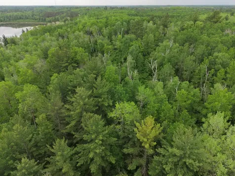 Tbd 290th Street Park Rapids MN 56470