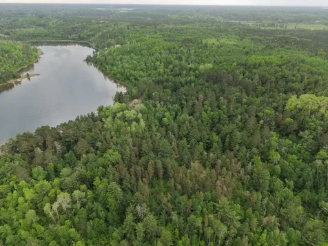 Tbd 290th Street Park Rapids MN 56470