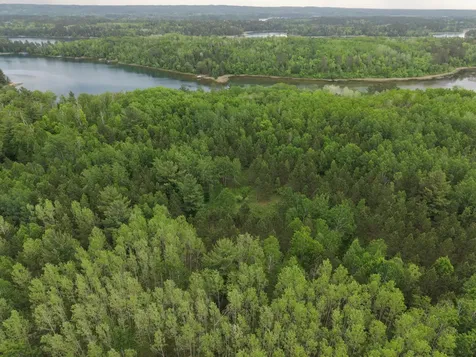 Tbd 290th Street Park Rapids MN 56470