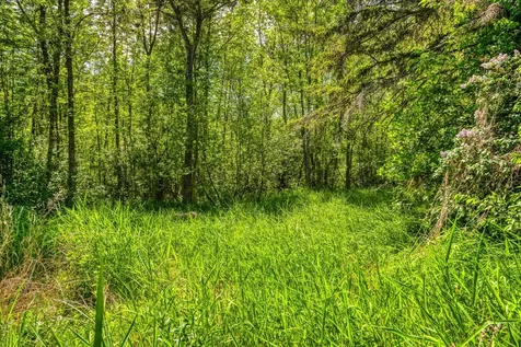 11517 Woodland Avenue Mizpah MN 56660