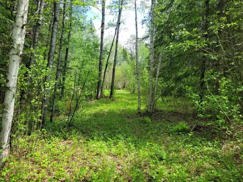 68401 County Road 547 Cook MN 55723