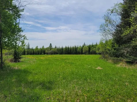 68401 County Road 547 Cook MN 55723